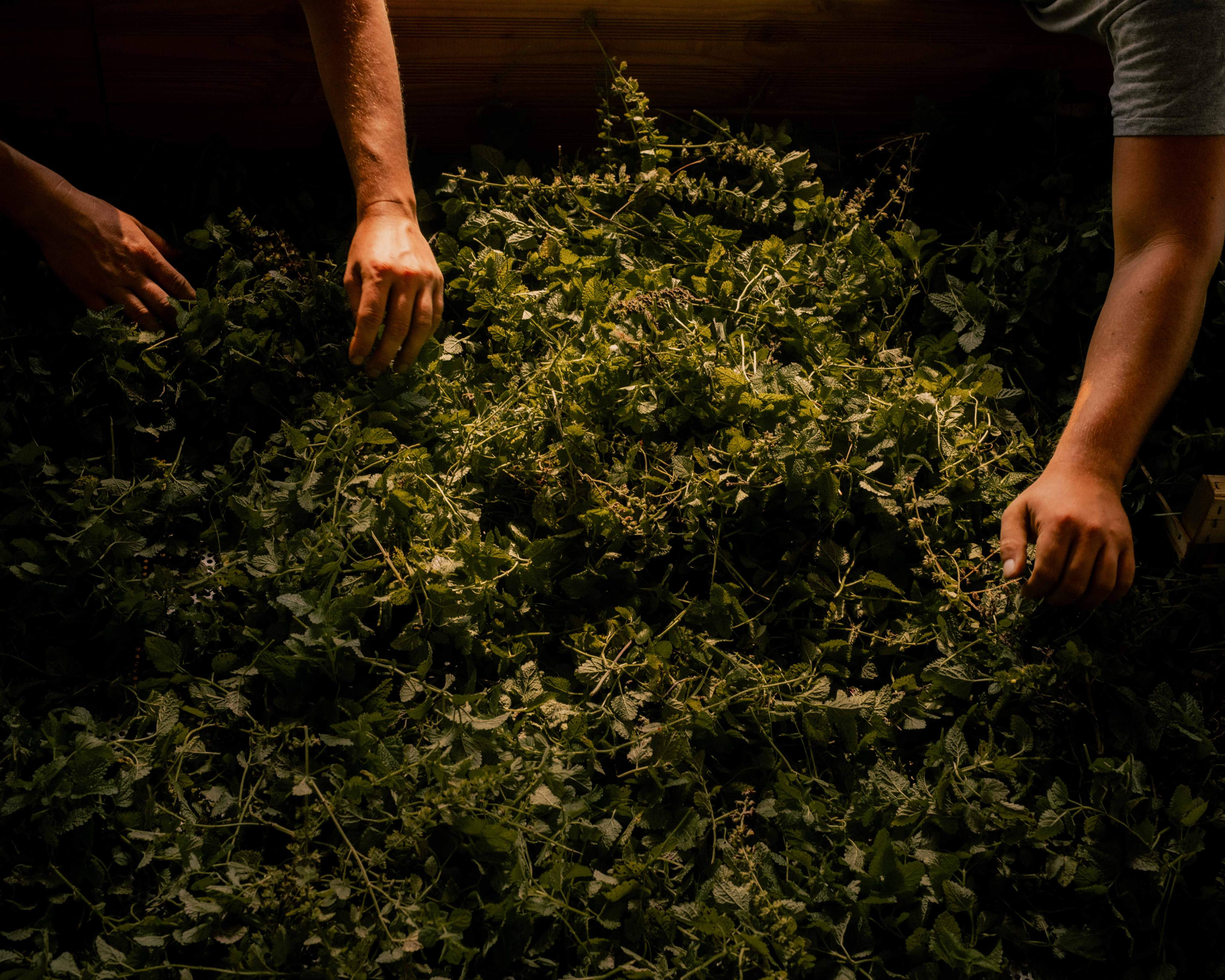 The Importance of Sleep