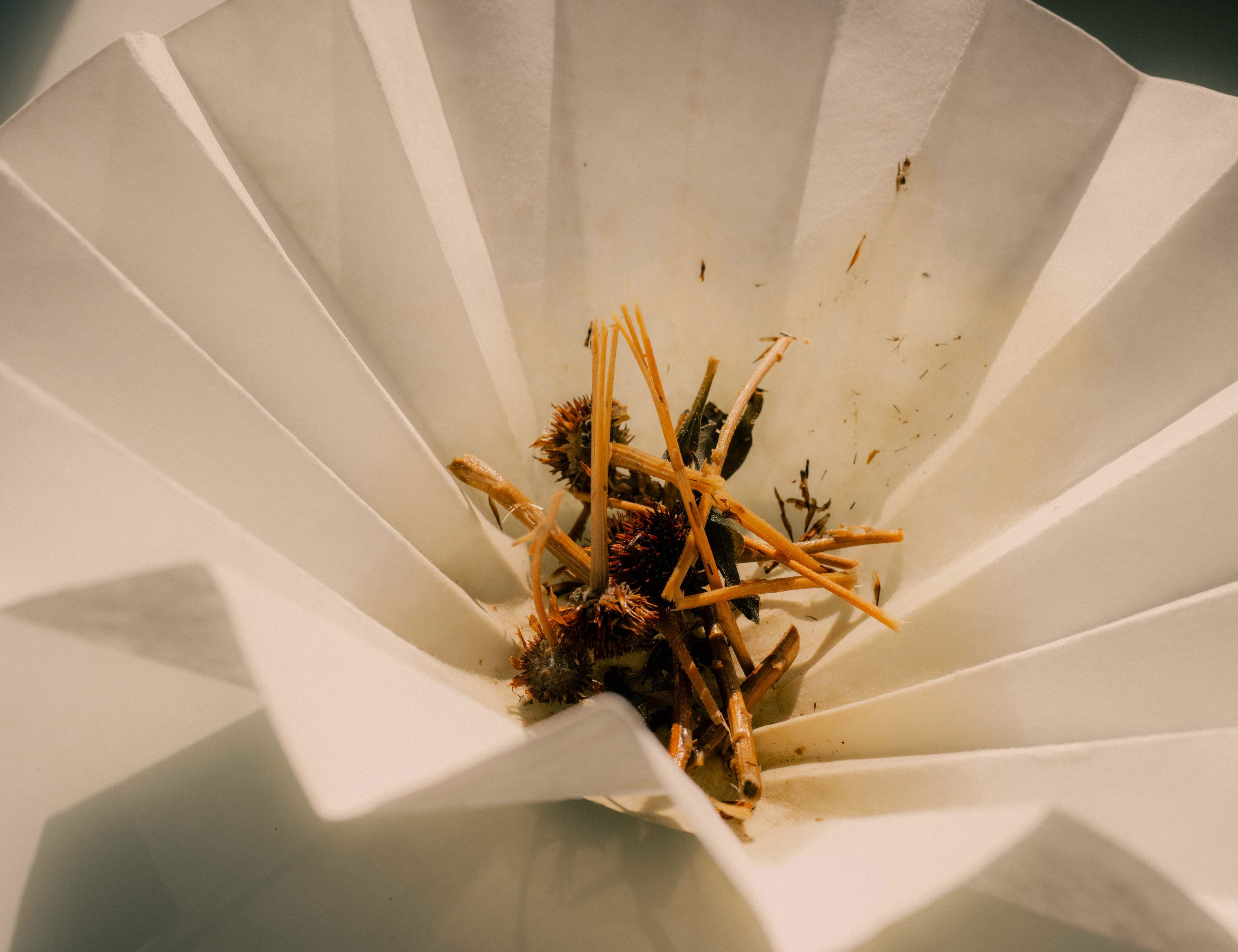 Diome Ingredients shot